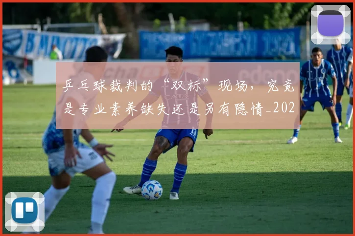 乒乓球裁判的“双标”现场,究竟是专业素养缺失还是另有隐情_20260703205903