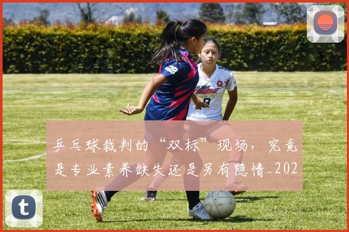 乒乓球裁判的“双标”现场，究竟是专业素养缺失还是另有隐情_20260703205903