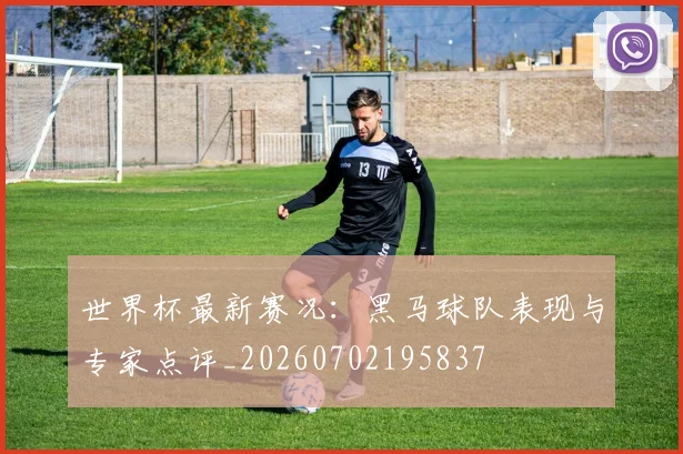 世界杯最新赛况：黑马球队表现与专家点评_20260702195837